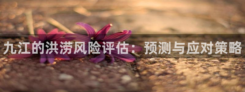 天辰娱乐官网：九江的洪涝风险评估：预测与应对策略