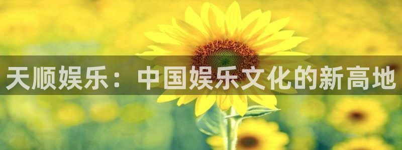 天辰娱乐平台招商：天顺娱乐：中国娱乐文化的新高地