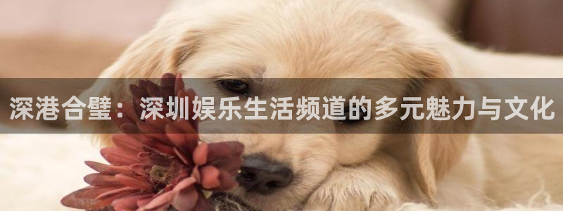 pg天辰娱乐平台下载入口：深港合璧：深圳娱乐生活频道的多元魅力与文化