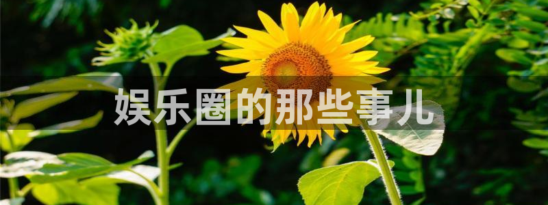 天辰娱乐3登录：娱乐圈的那些事儿