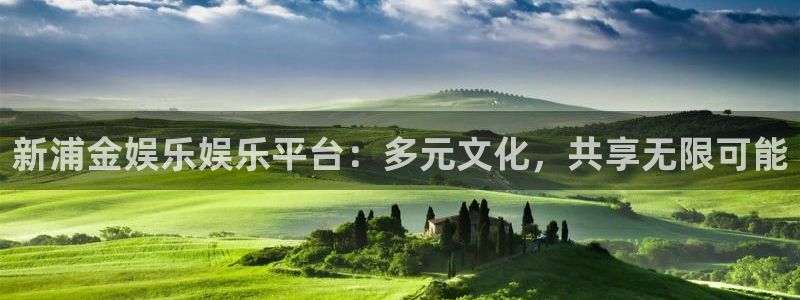 天辰娱乐平台官网版最新：新浦金娱乐娱乐平台：多元文化，共享无限可能