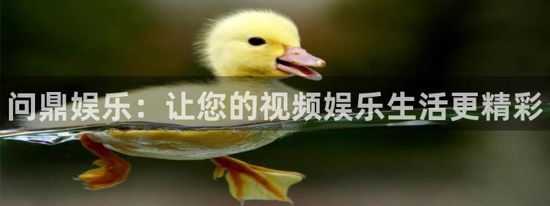 电子游戏天辰娱乐：问鼎娱乐：让您的视频娱乐生活更精彩