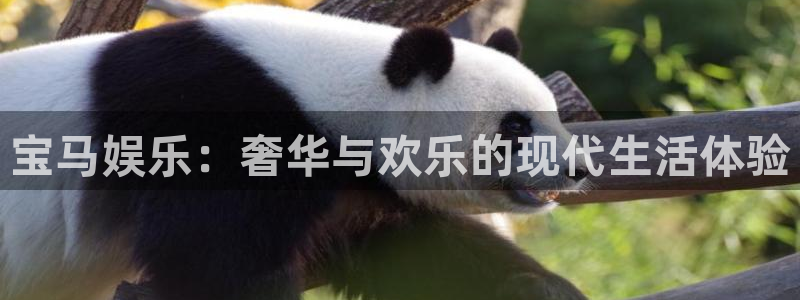 天辰娱乐平台官网入口：宝马娱乐：奢华与欢乐的现代生活体验