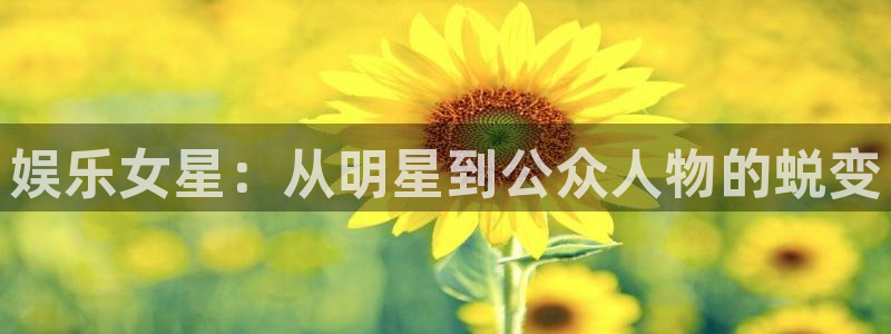 天辰娱乐.ccmpc29官网版下载：娱乐女星：从明星到公众人物的蜕变
