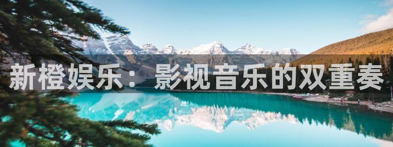 天辰娱乐是大平台吗：新橙娱乐：影视音乐的双重奏
