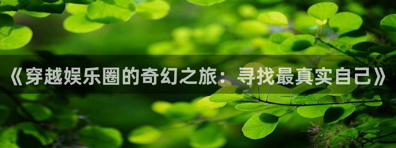 天辰娱乐4：《穿越娱乐圈的奇幻之旅：寻找最真实自己》