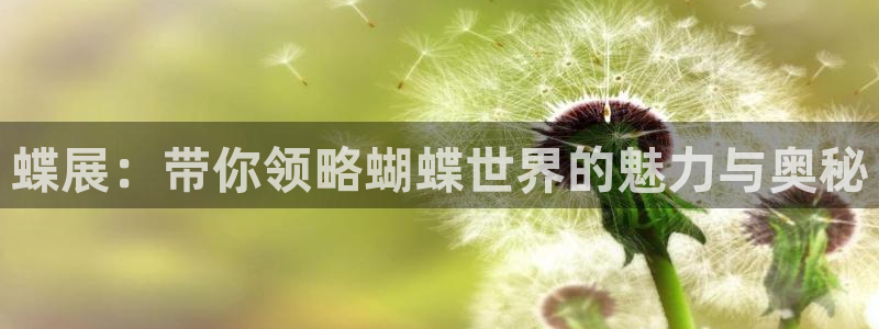 天辰娱乐下载并安装：蝶展：带你领略蝴蝶世界的魅力与奥秘