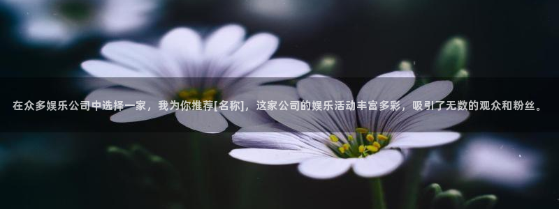 天辰娱乐.ccm苹果版：在众多娱乐公司中选择一家，我为你推荐[名称]，这家公司的