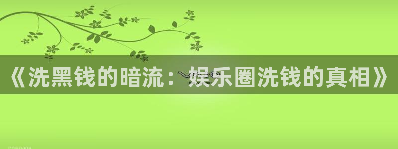 天辰娱乐那个爆率高：《洗黑钱的暗流：娱乐圈洗钱的真相》