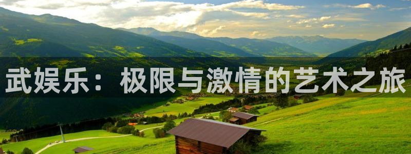 天辰娱乐电玩网官网入口：武娱乐：极限与激情的艺术之旅
