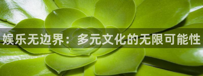 天辰娱乐是什么：娱乐无边界：多元文化的无限可能性