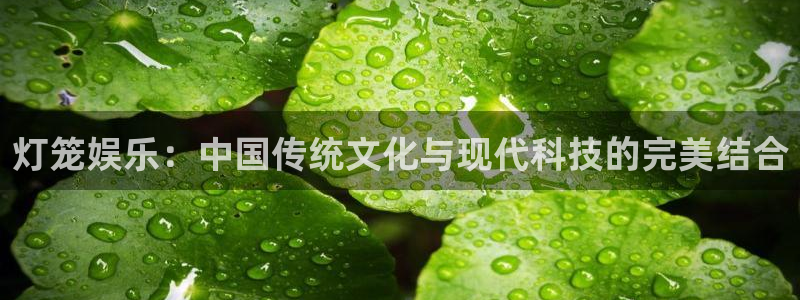 天辰娱乐ccmpc：灯笼娱乐：中国传统文化与现代科技的完美结合