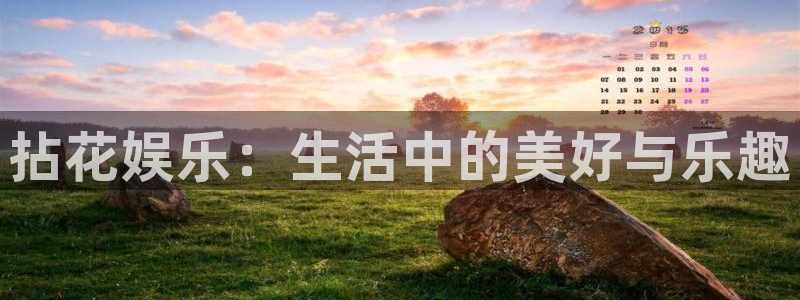 天辰娱乐平台开户链接：拈花娱乐：生活中的美好与乐趣