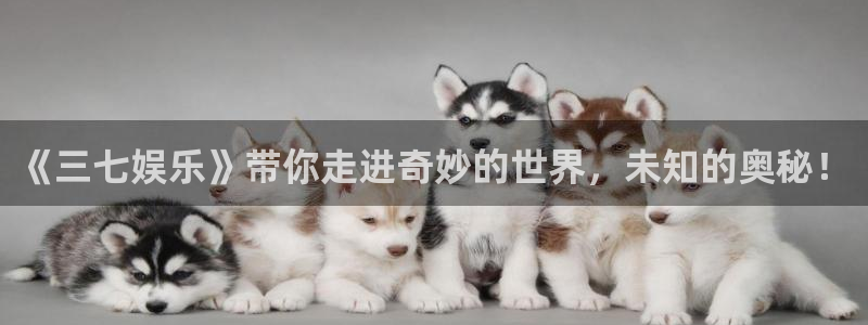 天辰娱乐vk：《三七娱乐》带你走进奇妙的世界，未知的奥秘！