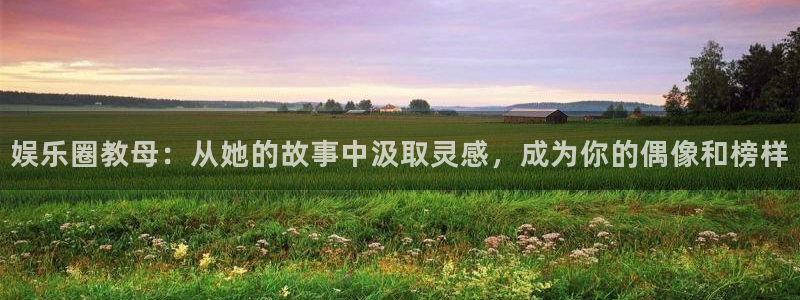 天辰娱乐平台：娱乐圈教母：从她的故事中汲取灵感，成为你的偶像和榜样
