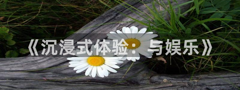 天辰娱乐app哪个模式容易赢：《沉浸式体验：与娱乐》