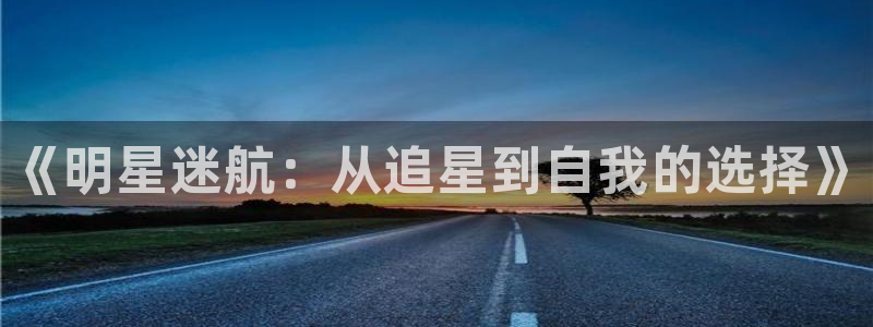 天辰娱乐游戏官网版：《明星迷航：从追星到自我的选择》