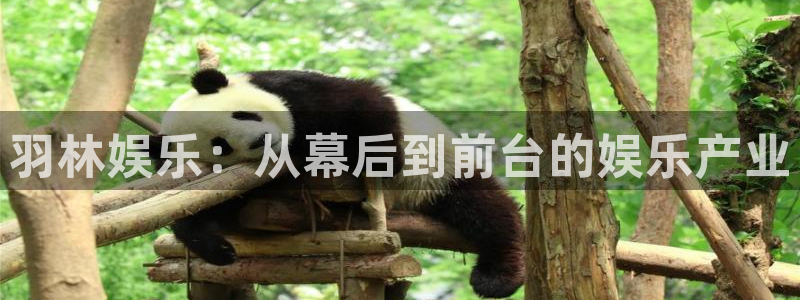 天辰娱乐平台官网登录入口：羽林娱乐：从幕后到前台的娱乐产业