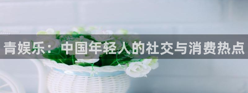 天辰娱乐体育app下载：青娱乐：中国年轻人的社交与消费热点