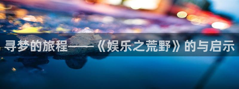 上海天辰娱乐汽车电子有限公司：寻梦的旅程——《娱乐之荒野》的与启示
