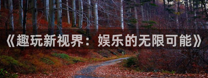 天辰娱乐体育凯捷平台注册：《趣玩新视界：娱乐的无限可能》