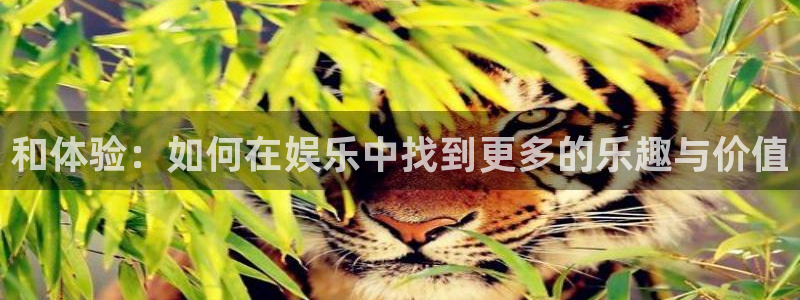 天辰娱乐5：和体验：如何在娱乐中找到更多的乐趣与价值