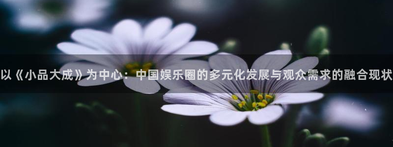 天辰娱乐平台下载入口：以《小品大成》为中心：中国娱乐圈的多元化发展与观众需求的融合现状