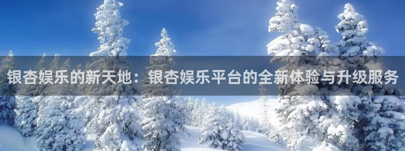 天辰娱乐加拿大下载：银杏娱乐的新天地：银杏娱乐平台的全新体验与升级服务
